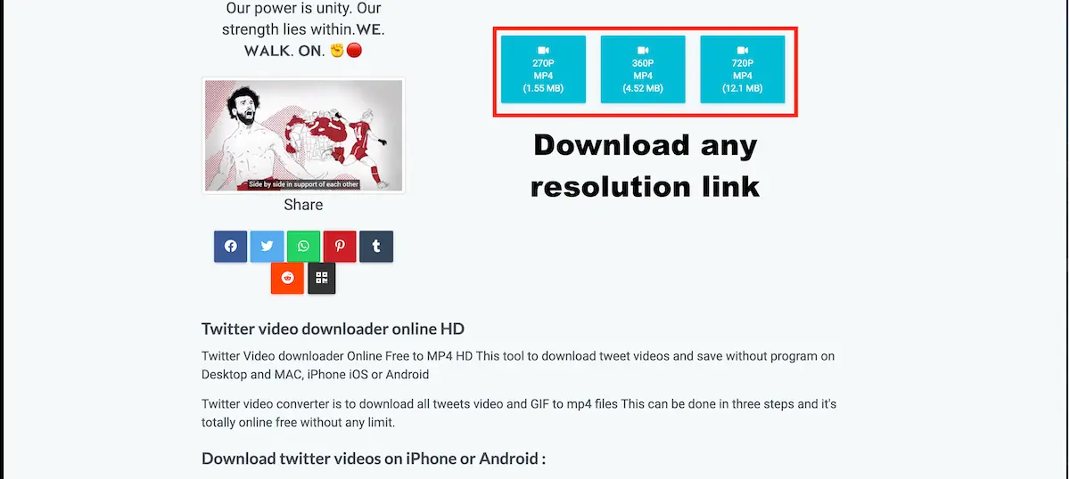 How to Download Videos from Twitter
