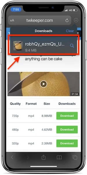 download twitter video iphone guide